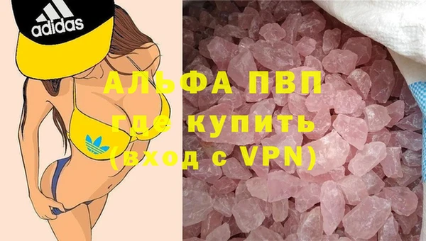 спиды Белая Холуница