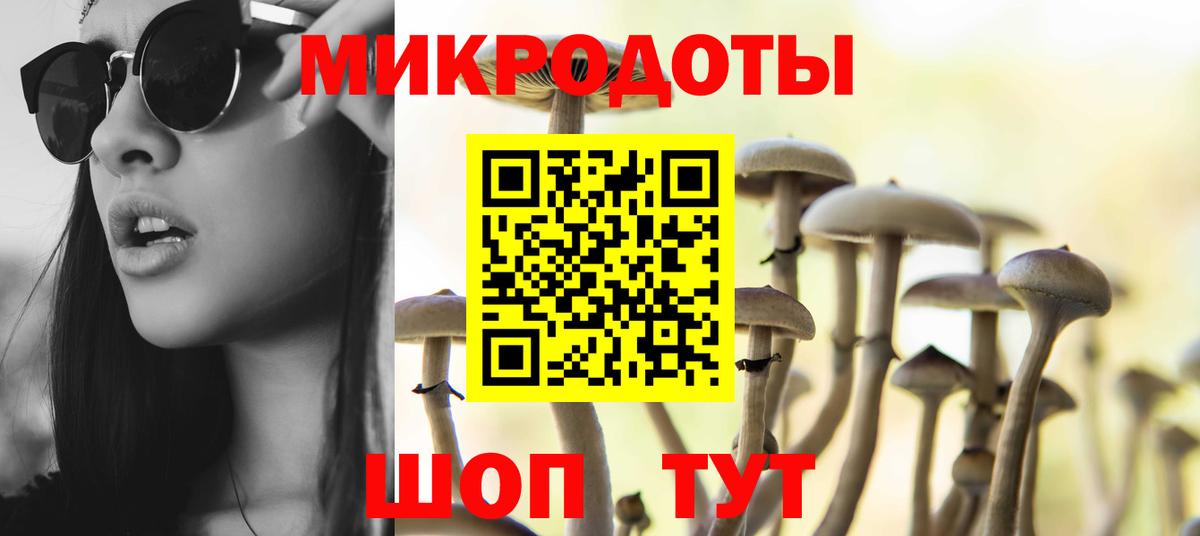 Галлюциногенные грибы Cubensis  Вход с VPN  Белая Калитва 